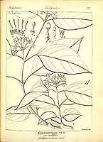  no thumbnail available