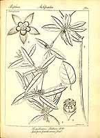  no thumbnail available