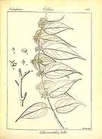  no thumbnail available