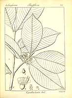  no thumbnail available