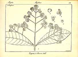  no thumbnail available