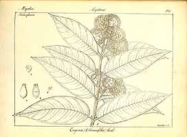  no thumbnail available