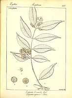  no thumbnail available