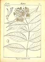  no thumbnail available