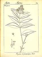  no thumbnail available