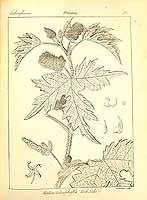  no thumbnail available