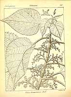  no thumbnail available