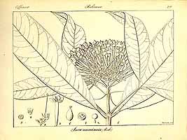  no thumbnail available