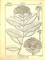  no thumbnail available