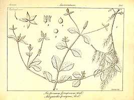  no thumbnail available