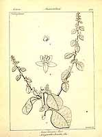  no thumbnail available