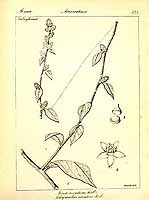  no thumbnail available