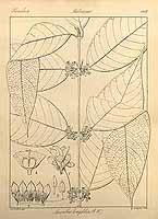  no thumbnail available