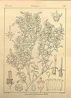  no thumbnail available