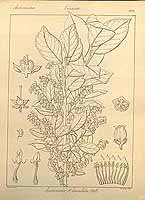  no thumbnail available