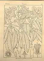  no thumbnail available