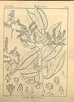  no thumbnail available