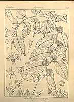  no thumbnail available