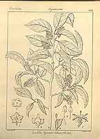  no thumbnail available