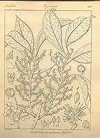  no thumbnail available