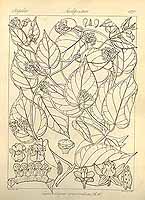  no thumbnail available