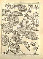  no thumbnail available