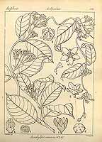  no thumbnail available