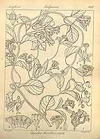  no thumbnail available