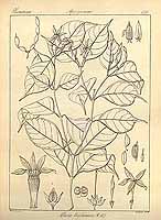  no thumbnail available