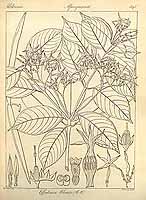  no thumbnail available