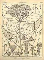  no thumbnail available