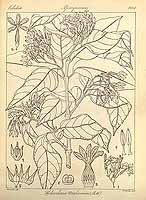  no thumbnail available