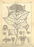  no thumbnail available