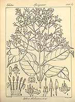  no thumbnail available