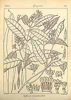  no thumbnail available