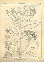  no thumbnail available