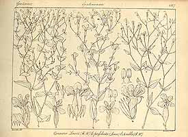  no thumbnail available