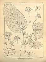  no thumbnail available