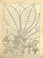  no thumbnail available