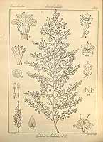  no thumbnail available