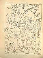  no thumbnail available