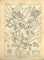  no thumbnail available