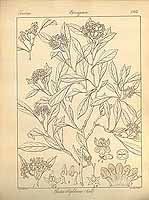  no thumbnail available