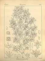  no thumbnail available