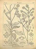  no thumbnail available