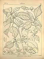  no thumbnail available