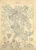  no thumbnail available