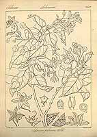  no thumbnail available