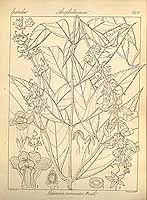  no thumbnail available