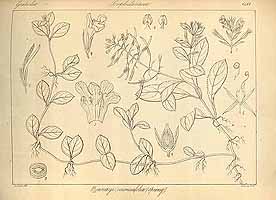  no thumbnail available